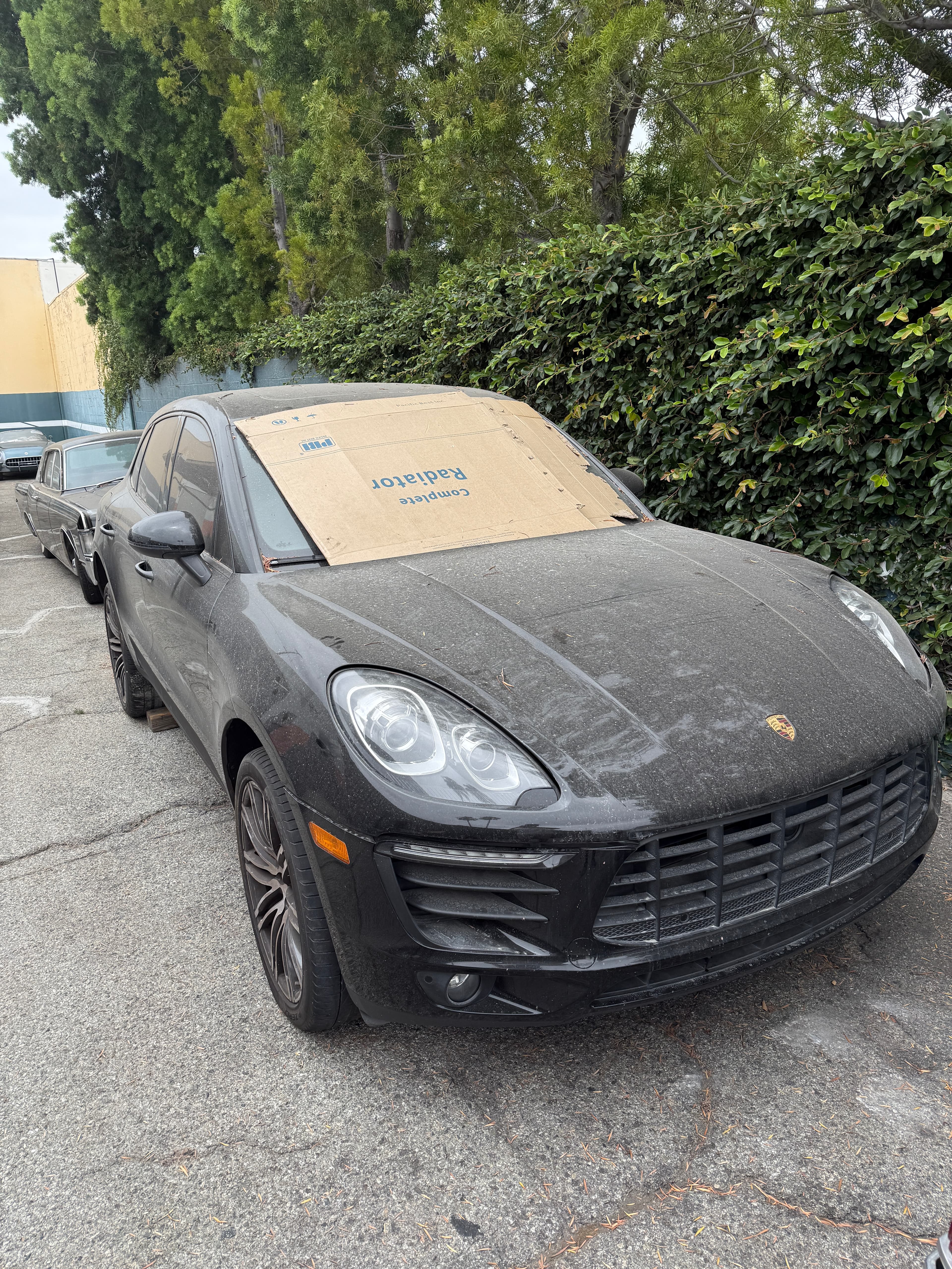 Porsche - Paint and Body Work at Creative Collision Center Pasadena